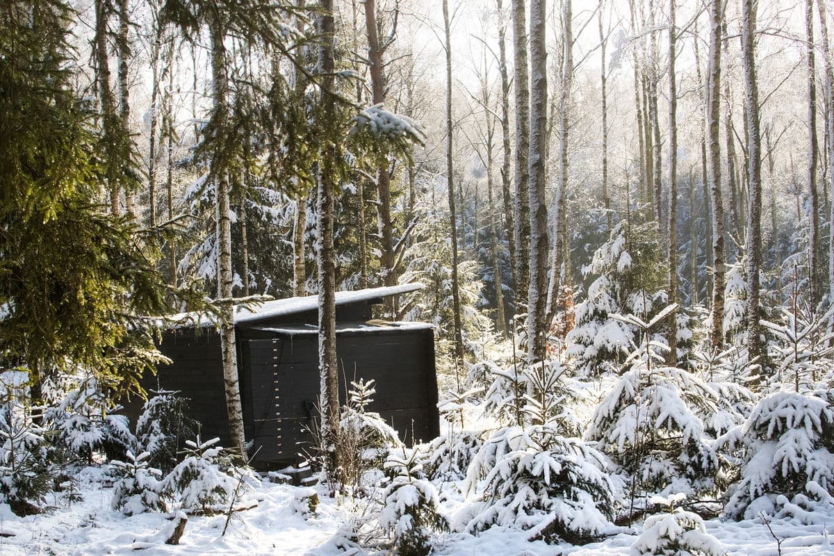 Photographing from a Hide — Tips and Techniques